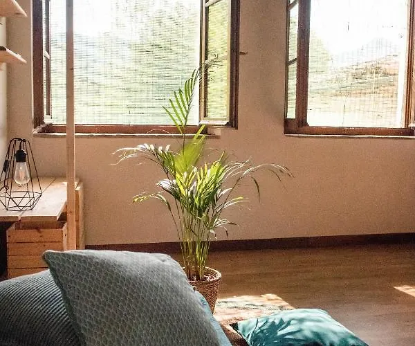 컨트리하우스 Social Garden - Private